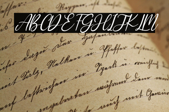 Sharlene Italic Example 2