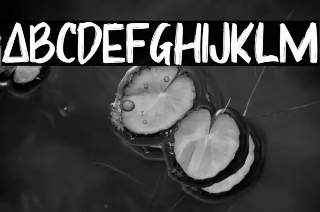 Sharoe Font examples