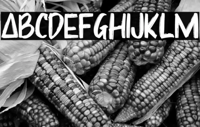 Sharoe Font examples