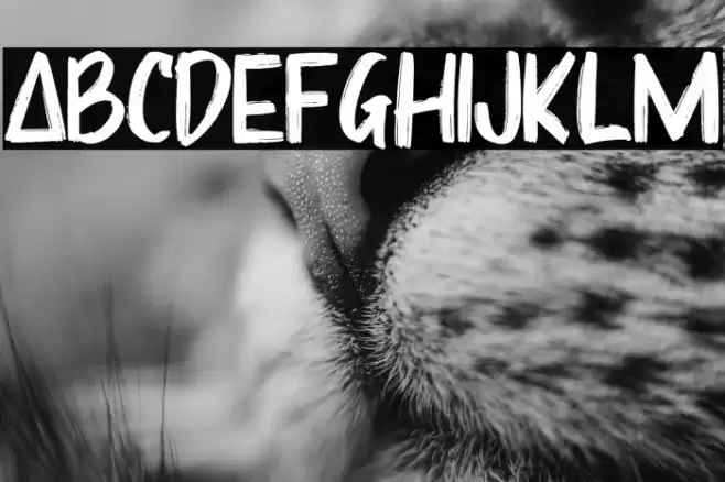 Sharoe Font examples