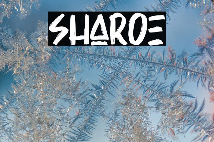 Sharoe Example 3
