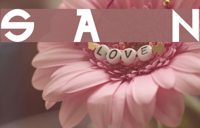 Sharon Apple Normal Font examples
