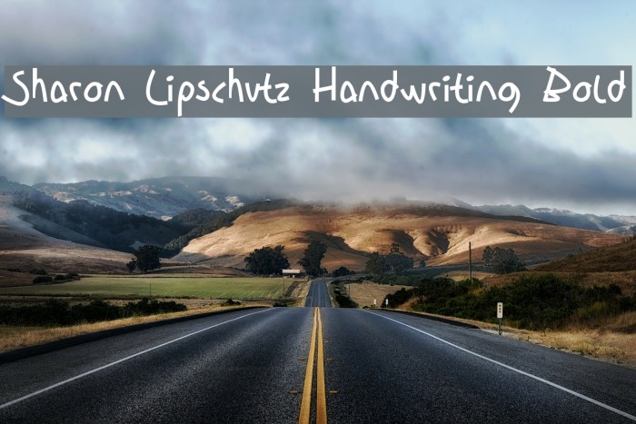 Sharon Lipschutz Handwriting Bold Font examples