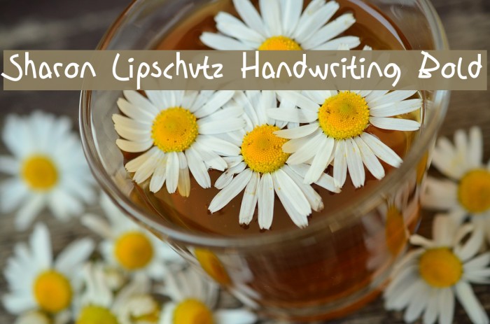Sharon Lipschutz Handwriting Bold Font examples