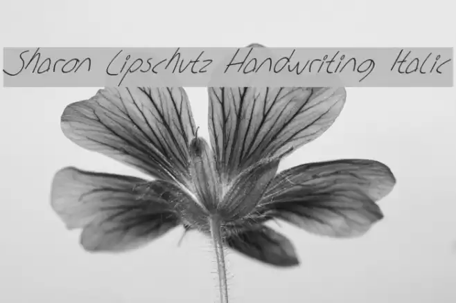Sharon Lipschutz Handwriting Italic Schriftart examples