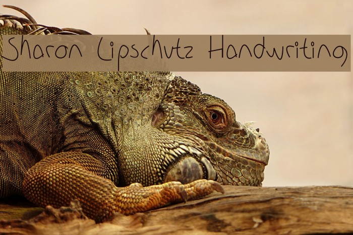 Sharon Lipschutz Handwriting Font examples