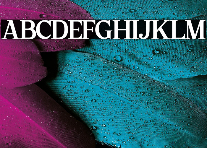 Sharon - Personal Use Example 1