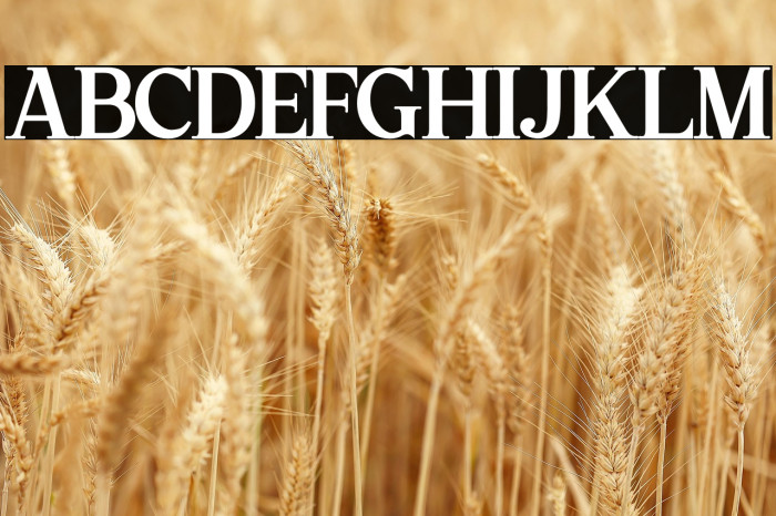 Sharon - Personal Use Example 2