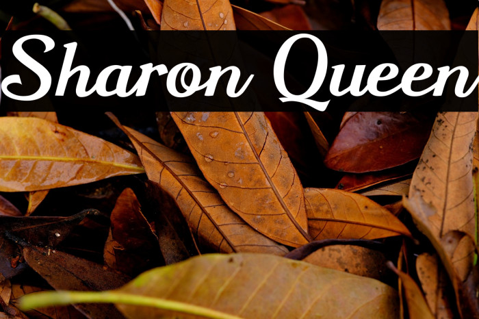 Sharon Queen Example 3