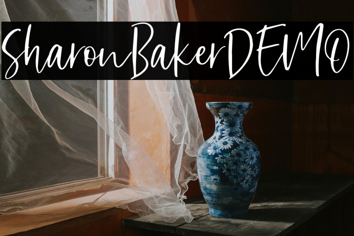 SharonBakerDEMO Example 3