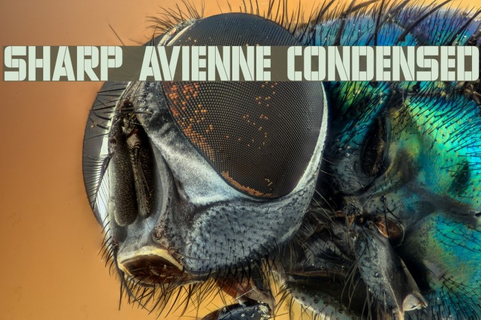 Sharp Avienne Condensed Font examples