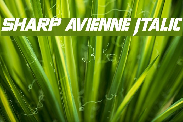 Sharp Avienne Italic Font examples