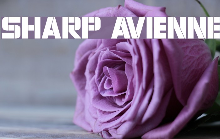 Sharp Avienne Font examples