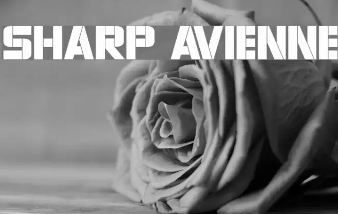 Sharp Avienne Шрифта examples