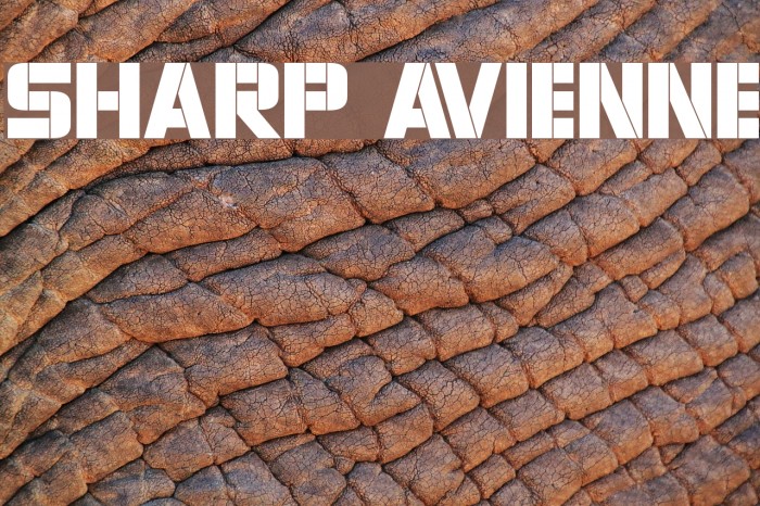 Sharp Avienne Font examples