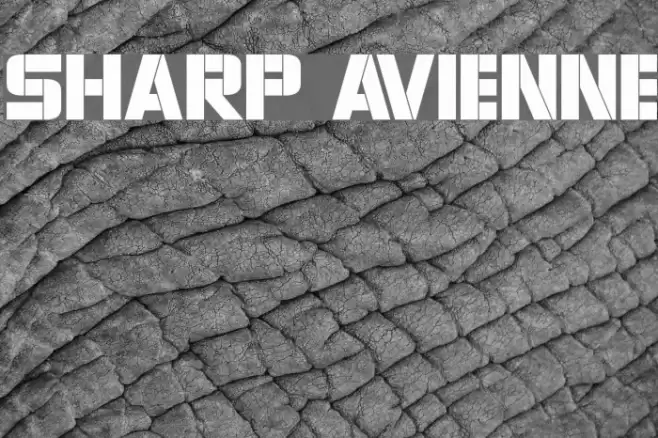 Sharp Avienne Шрифта examples