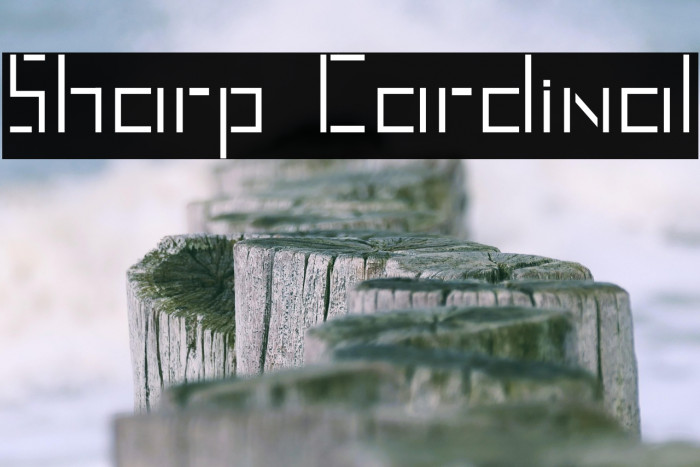 Sharp Cardinal Example 2