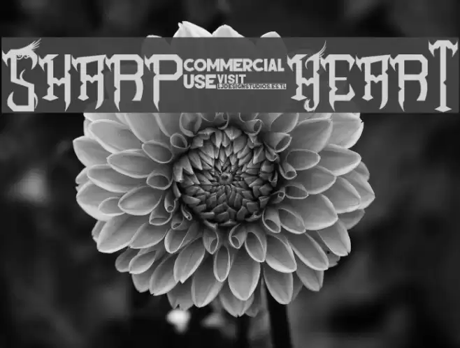 Sharp Heart Font examples