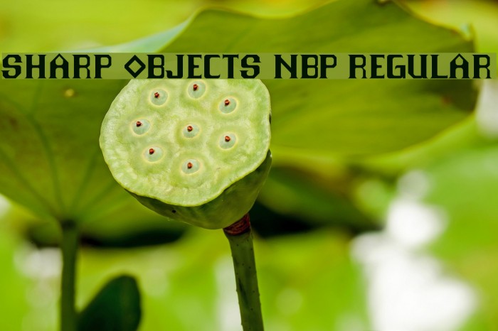 Sharp Objects NBP Regular Font examples
