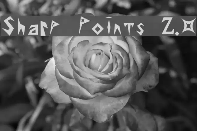 Sharp Points 2.0 フォント examples