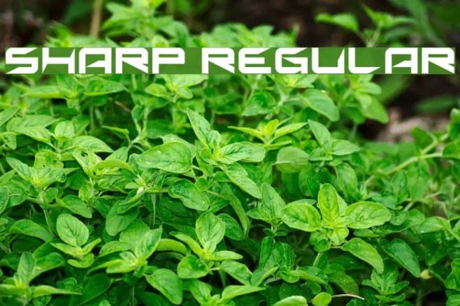 Sharp Regular Example 3