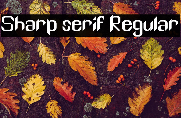 Sharp serif Regular Example 3