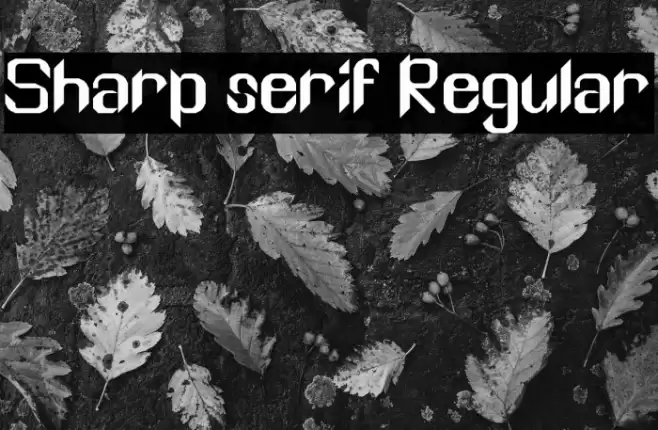 Sharp serif Regular Font examples