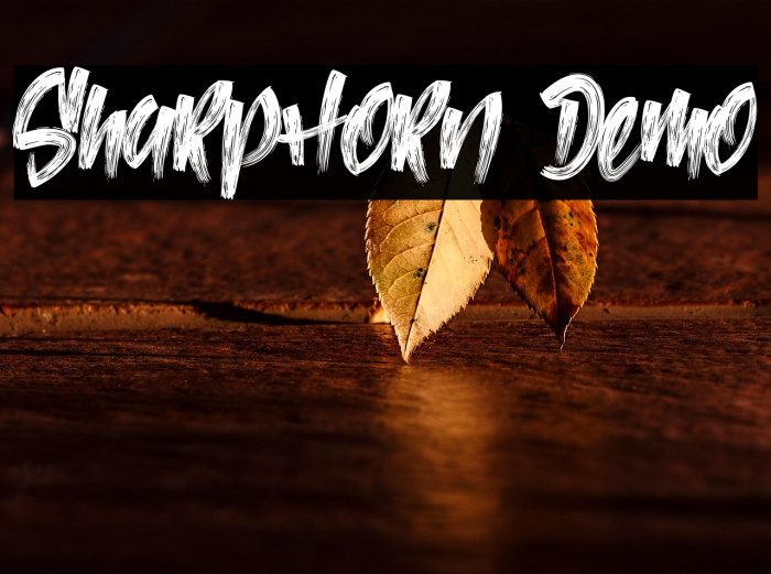 SharpHorn Demo Example 1