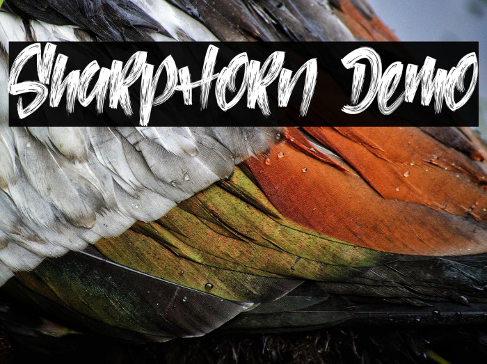 SharpHorn Demo Example 2