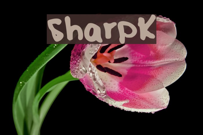 SharpK Font examples