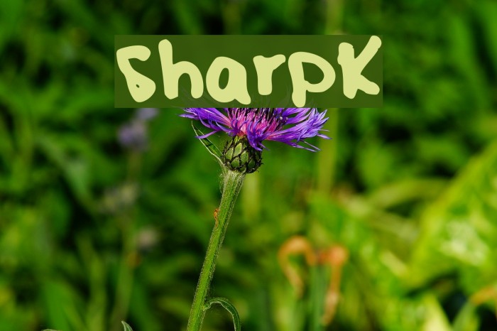 SharpK Font examples