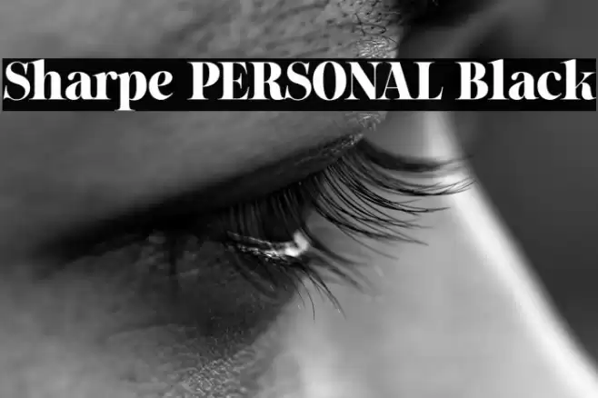 Sharpe PERSONAL Black Font examples