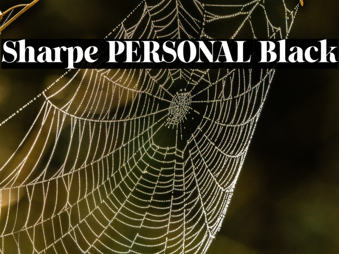 Sharpe PERSONAL Black Example 3