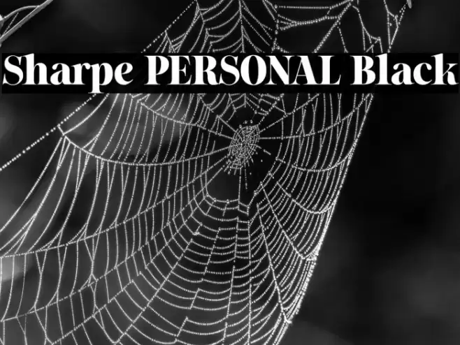 Sharpe PERSONAL Black Font examples