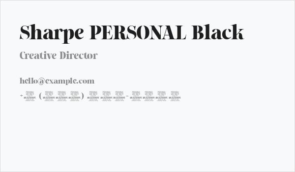 Sharpe PERSONAL Black Business Card
