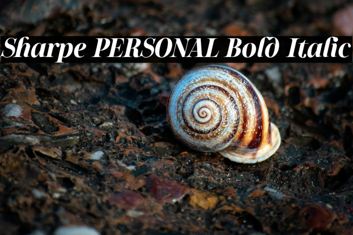 Sharpe PERSONAL Bold Italic Example 1