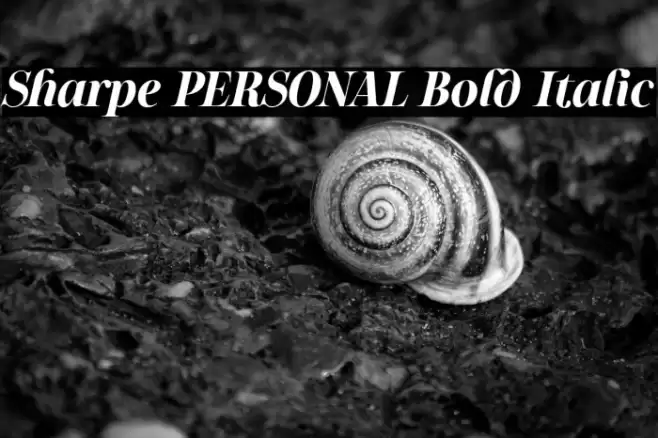 Sharpe PERSONAL Bold Italic Font examples