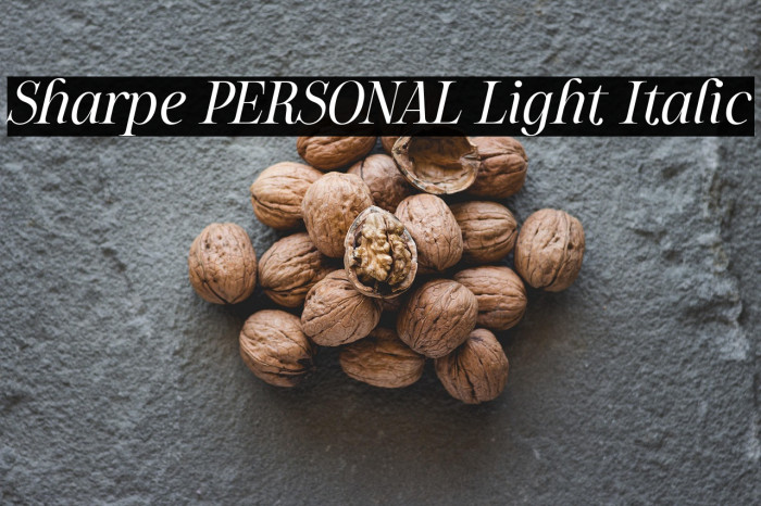 Sharpe PERSONAL Light Italic Example 1
