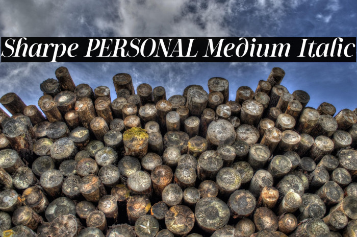 Sharpe PERSONAL Medium Italic Example 1