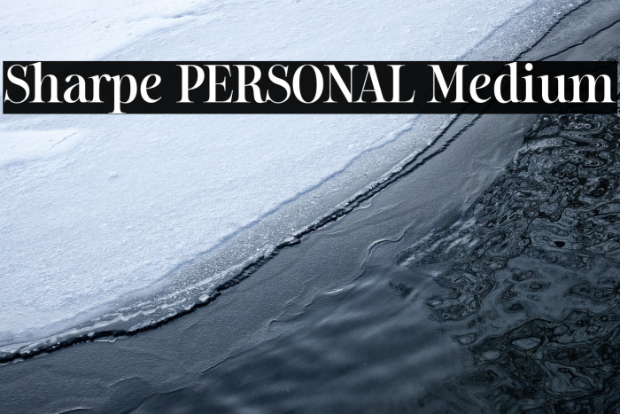 Sharpe PERSONAL Medium Example 1