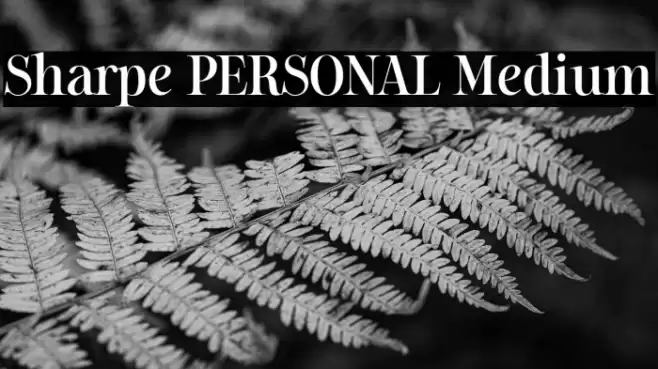 Sharpe PERSONAL Medium Font examples