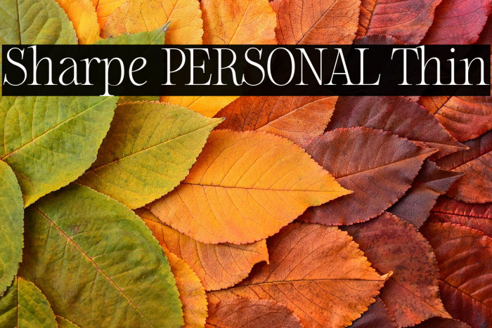 Sharpe PERSONAL Thin Example 1