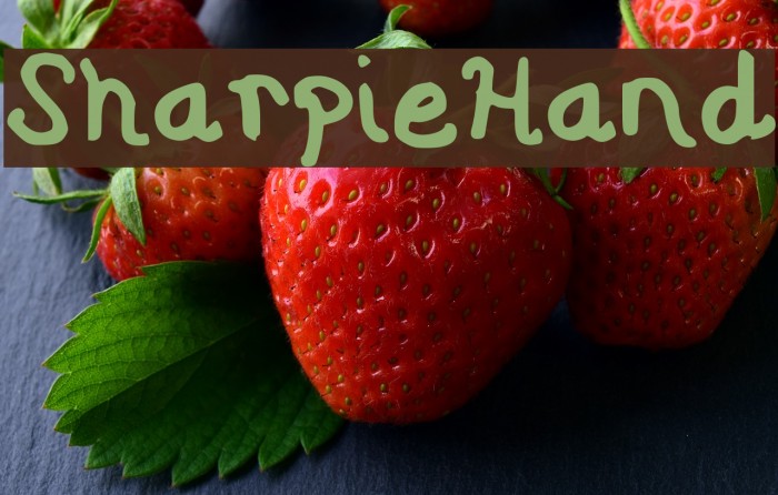 Sharpie Hand Font examples