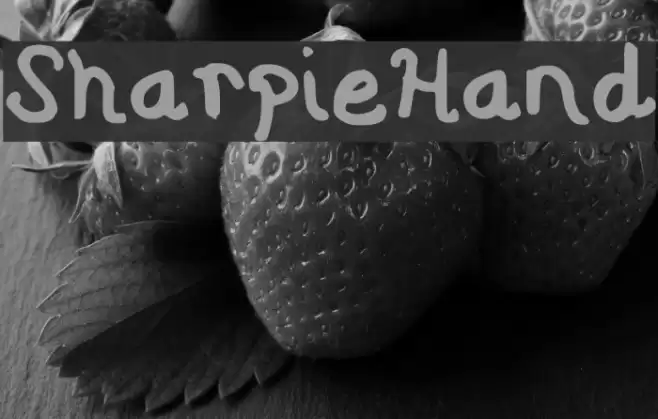 Sharpie Hand Font examples