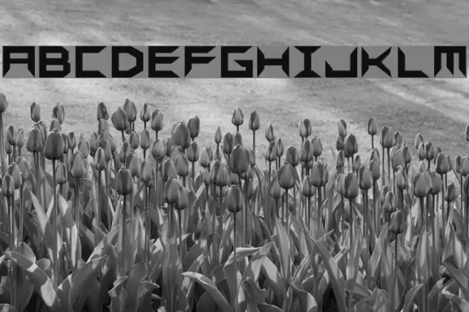 Sharps GF Font examples