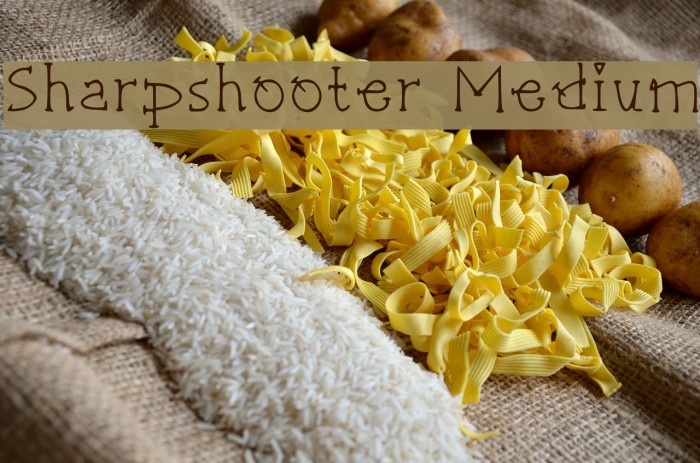 sharpshooter-medium-font-ffonts