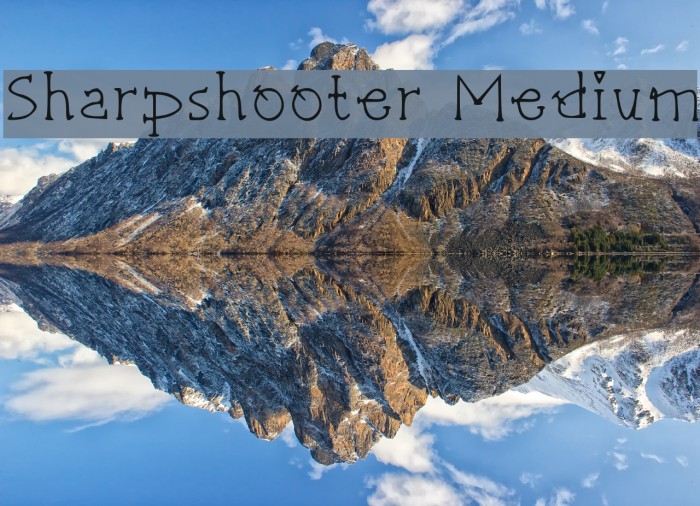 Sharpshooter Medium Font examples