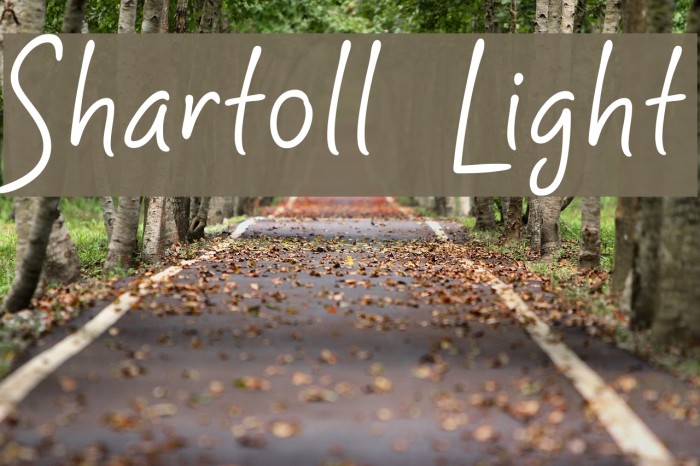 Shartoll Light Example 3