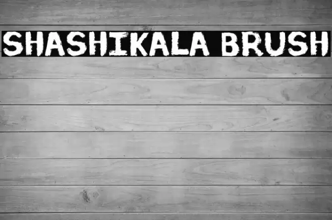 Shashikala Brush Font examples