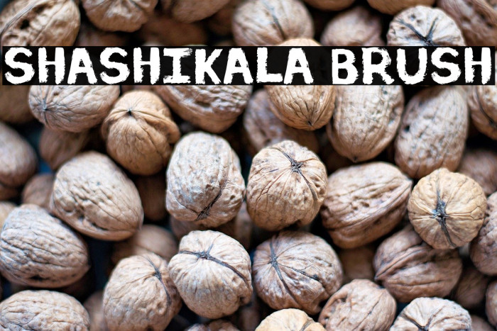 Shashikala Brush Example 2